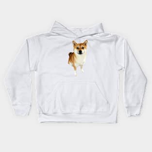 Lilly the Shiba Inu Sitting Down Kids Hoodie